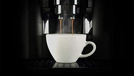 31HNei032tL._AC_SX450_