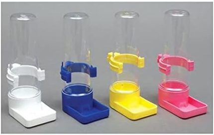 Muhabbet Kuşu Suluğu