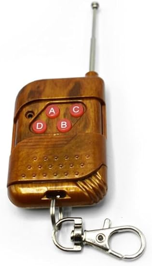 418bBQx0PXL._AC_SY550_