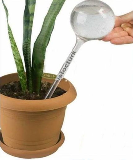 suluğu Çiçeklerinize Can Suyudur 3 ADET çiçeklerin ömrünü uzatan her çiçeklere otomatik suluk