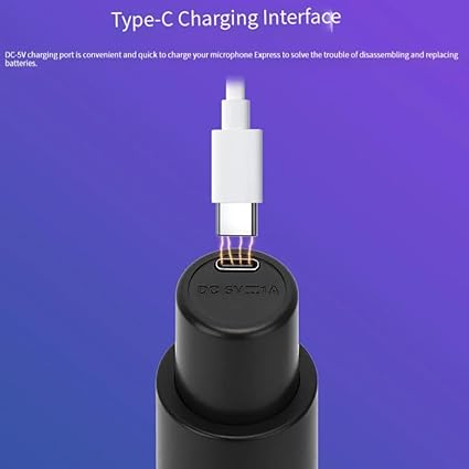 Kablosuz Karaoke Mikrofonu 6.35mm Amfi Hoparlör İçin 600 Hz ila 800 KHz Çok Amaçlı Tak ve Çalıştır Kablosuz Mikrofon Dış Mekan İçin WN05 (Tekli-WN05) - Görsel 4