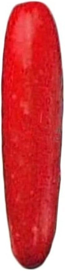 İthal Kırmızı Salatalık Tohumu 10 Adet Tohum Red Cucumber