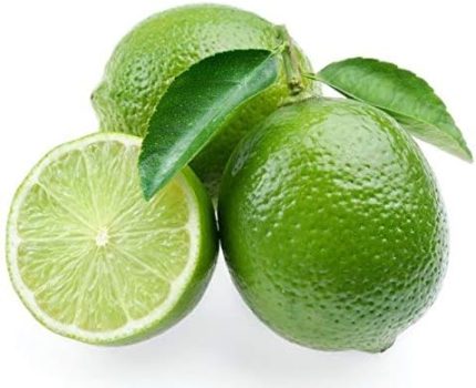 Market Dikensiz MEXİCAN LİME Limon Fidanı NADİR ÇEŞİT 5 YAŞLI TÜPLÜ