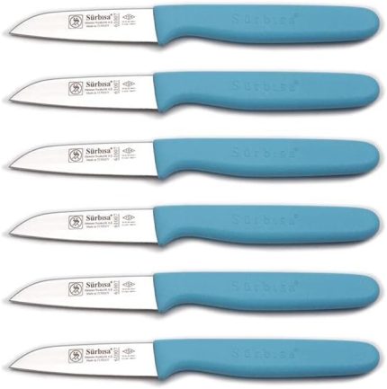 Sürmene 6'lı Meyve Bıçağı Seti 61007 (Turkuaz)