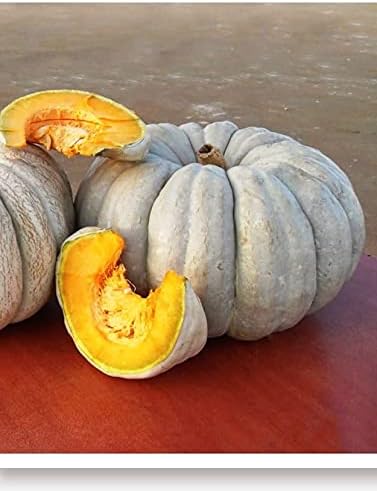 TARIM Ata Tohumu Yerli Balkabağı 10 Adet Tohum