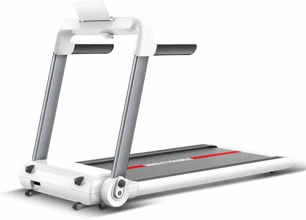 51-B0qYjsOL._AC_SY879_