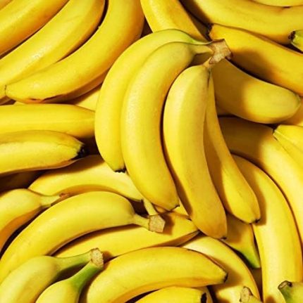 Tüplü Musa Cavendish Bodur Muz Fidanı (Sınırlı Sayı)