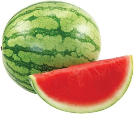 Thailand Çekirdeksiz Karpuz Tohumu 10 Adet Tohum Bebek Karpuzu Tohum