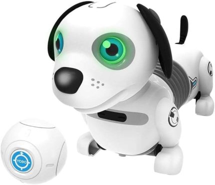 Robo Dackel Junior