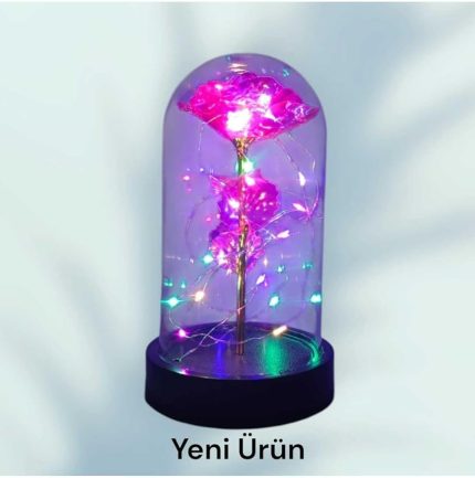 Cam Fanus İçerisinde Işıklı Solmayan Sonsuzluk Gülü 5 renk Seçeneği Pembe
