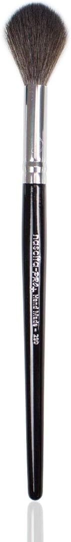 PRO PLUS AYDINLATICI FIRÇASI