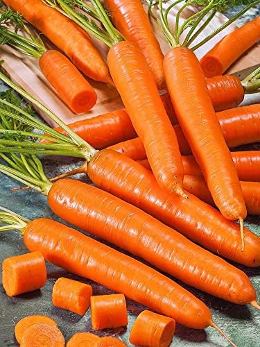 Garden Doğal Şirin Havuç Nantes 1000 Ad. Tohum
