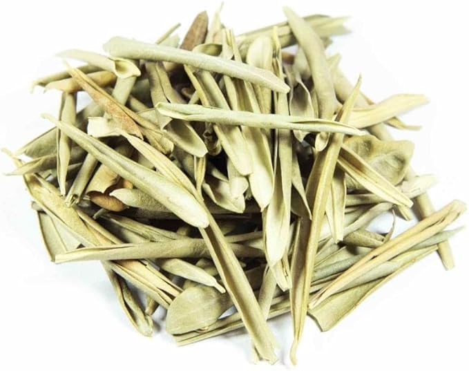 519nCVl7OpL._AC_SX679_