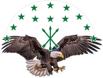 Adige Bayrak Kartal Color Sticker Etiket 14x10 cm