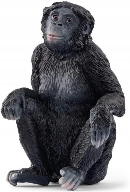 Bonobo, Oyuncak Figür