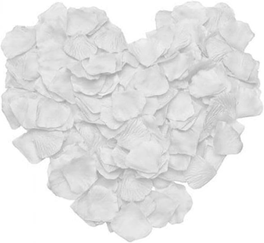 51BQdXmn2EL._AC_SY879_