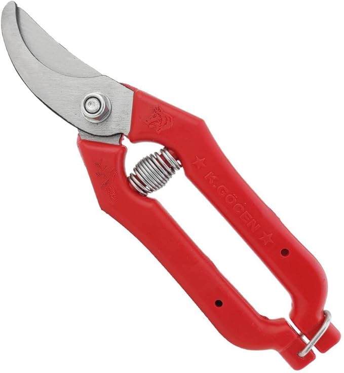 51DP-hJ3anL._AC_SX679_