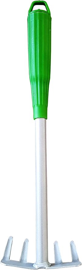 10484 Bahçe El Tırmığı