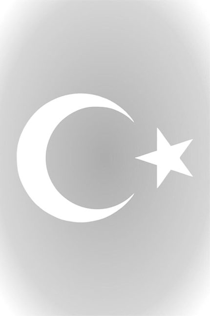 Beyaz Renk Türk Bayrağı Sticker Ay Yıldız Araba Oto Sticker 30 Cm X 22 Cm
