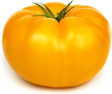 Look Nadir Dev Italyan Sarı Pileli Domates Tohumu 5 Tohum TH-thmcmthm02