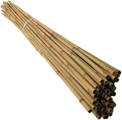 Cm Doğal Bambu Bitki Destek Çubuğu 10 Adet 5-10 mm