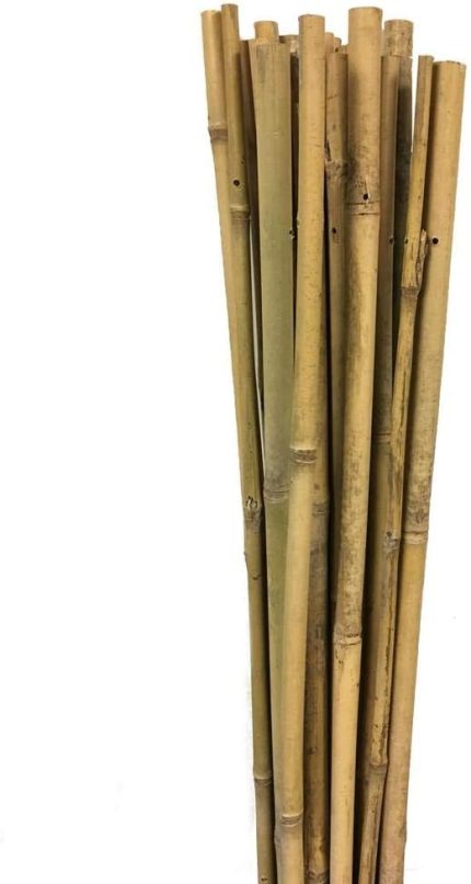 63713 Bambu Destek Çubuğu 10'Lu - 10-12 Mm X 120 Cm