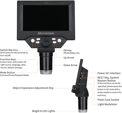 51MPYN-n9eL._AC_SX425_