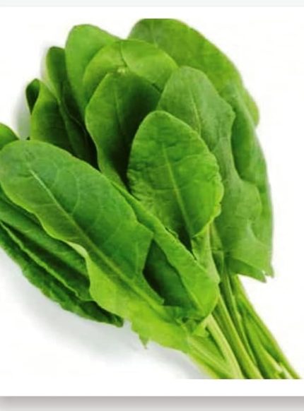 TARIM Ata Tohumu Yerli Kuzukulağı Gürsel 1000 Adet Tohum