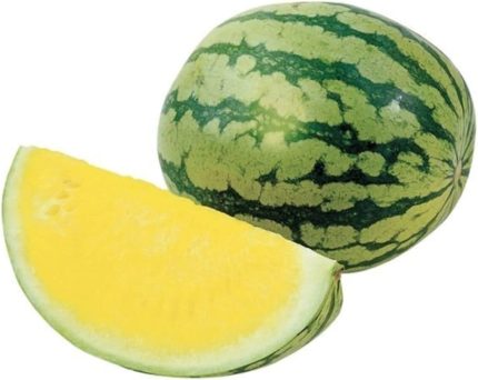 Paket 60 Adet Tohum İthal Nadir Sarı Karpuz Tohumu