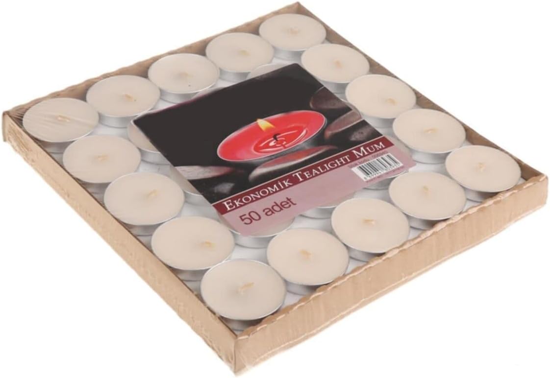 51TZ0znWHdL._AC_SY879_