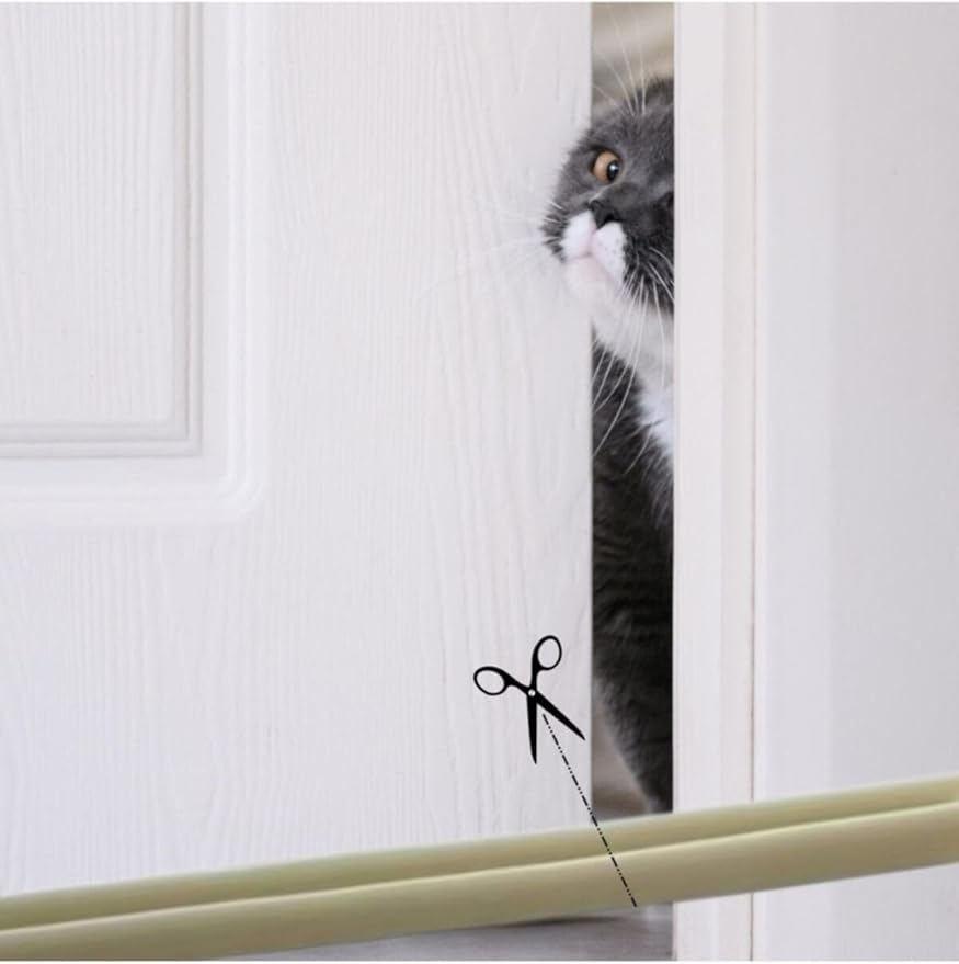 51X18xImoSL._AC_SY879_