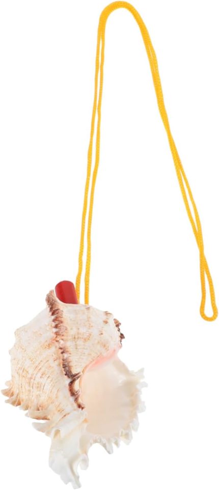 Küçük Kabuklu Düdük, Doğal Deniz Kılıf Kolye Düdük Müzik Severler Için Seyahat Plaj Dekorasyonları Deniz Kabuklu Kolyeler