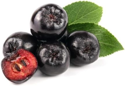 Aronya Rus Yaban Mersini Tohumu