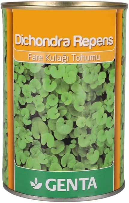 Dichondra Repens Çim Tohumu 250 Gr