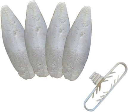 Gram Temizlenmiş Mürekkep Balığı (KALAMAR) Kemiği 5-6cm Mini boy Ve Tutacak