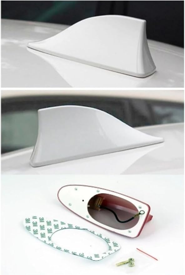 51hsUfcbq-L._AC_SY879_