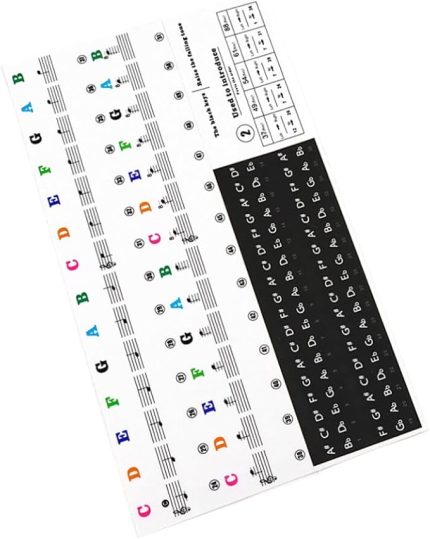 37 49 54 61 88 Tuşlu Piyano Klavye Çıkartmaları Yeni Başlayanlar İçin Çıkarılabilir Klavye Çıkartmaları Elektronik Org Piyano Aksesuarları D81a