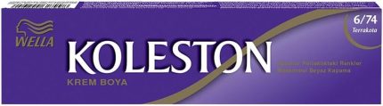 Koleston Single Tüp Boya 6/74 Terrakota
