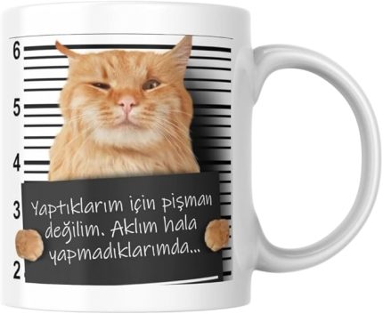 Değilim Komik Yazılı Kupa Bardak Hediyelik Çay Kahve Kupası Coffee Mug