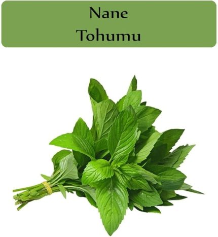 Organik Nane Tohumu 1 Paket (0,02Gr)