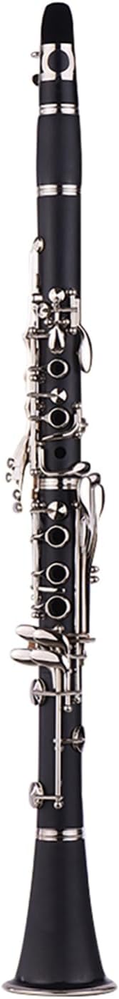 ABS 17 Tuşlu Klarnet Si Bemol Taşıma Çantası Eldiven Tem Bezi Tornavida Kamış Kutusu 10 Adet Kamış Nefesli Çalgı