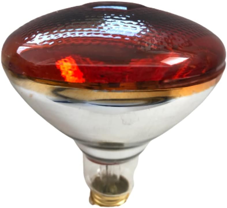 51w3FNIH1NL._AC_SY879_