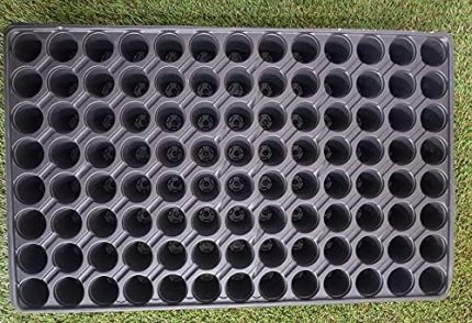 İklim Bahçe 104 Gözlü Plastik Yuvarlak Tohum Fide Viyolü x 10 Adet