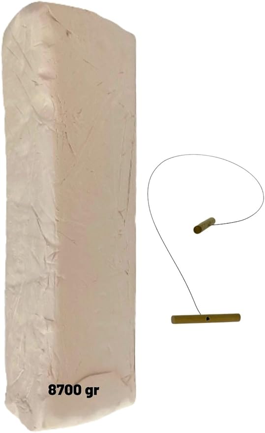 51xBsh9Z8SL._AC_SY879_