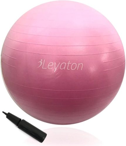 Büyük Boy Pilates Topu 65 Cm Pompa Hediyeli LYT-117