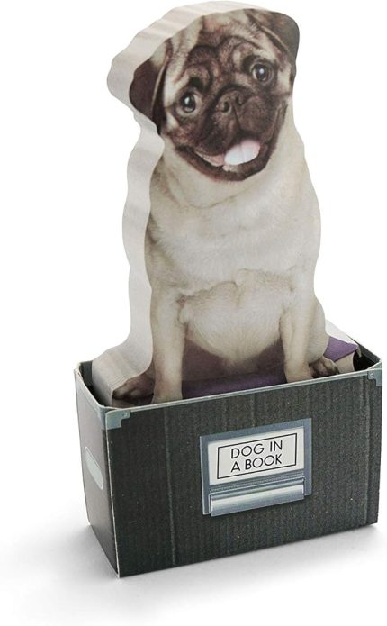 M16079A Dog in a Box Yapışkanlık Not Kağıdı, Renkli
