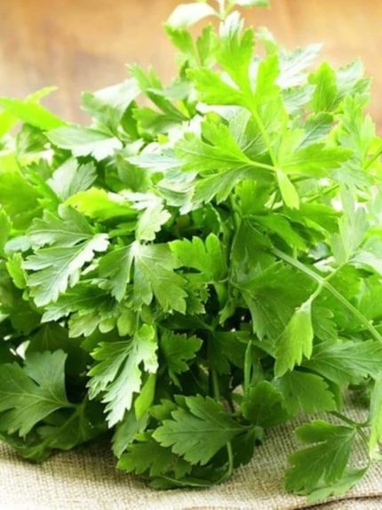 Garden Yerli Maydanoz Tohumu İri Akgen 2500 Ad. Tohum