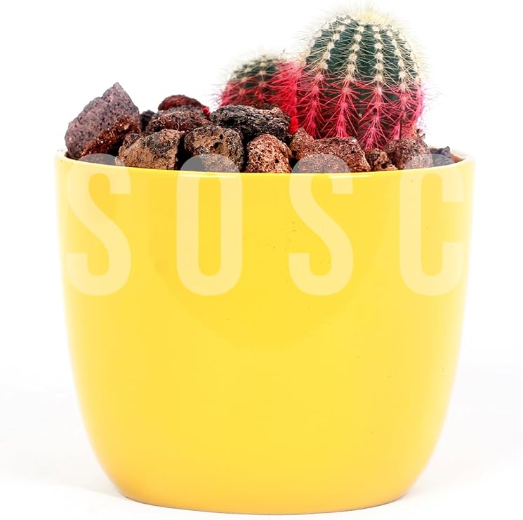 Pomza Taşı 2-3 cm Volkanik Cürüf Ponza Lav Kırığı 3 Lt - Görsel 2