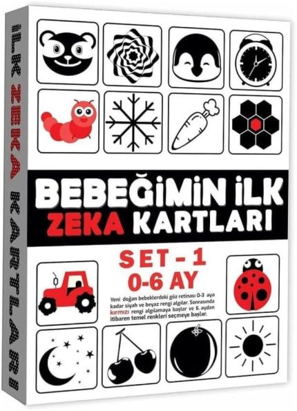 2199 Eğitici Kartlar 0-6 Ay Zeka Kartları