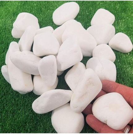 Taş 25 Kg 2-4 Cm Beyaz Dolomit Taş Saksı Dibi Dekoratif Taş Bahçe Süsleme Taşı Peyzaj Taşı